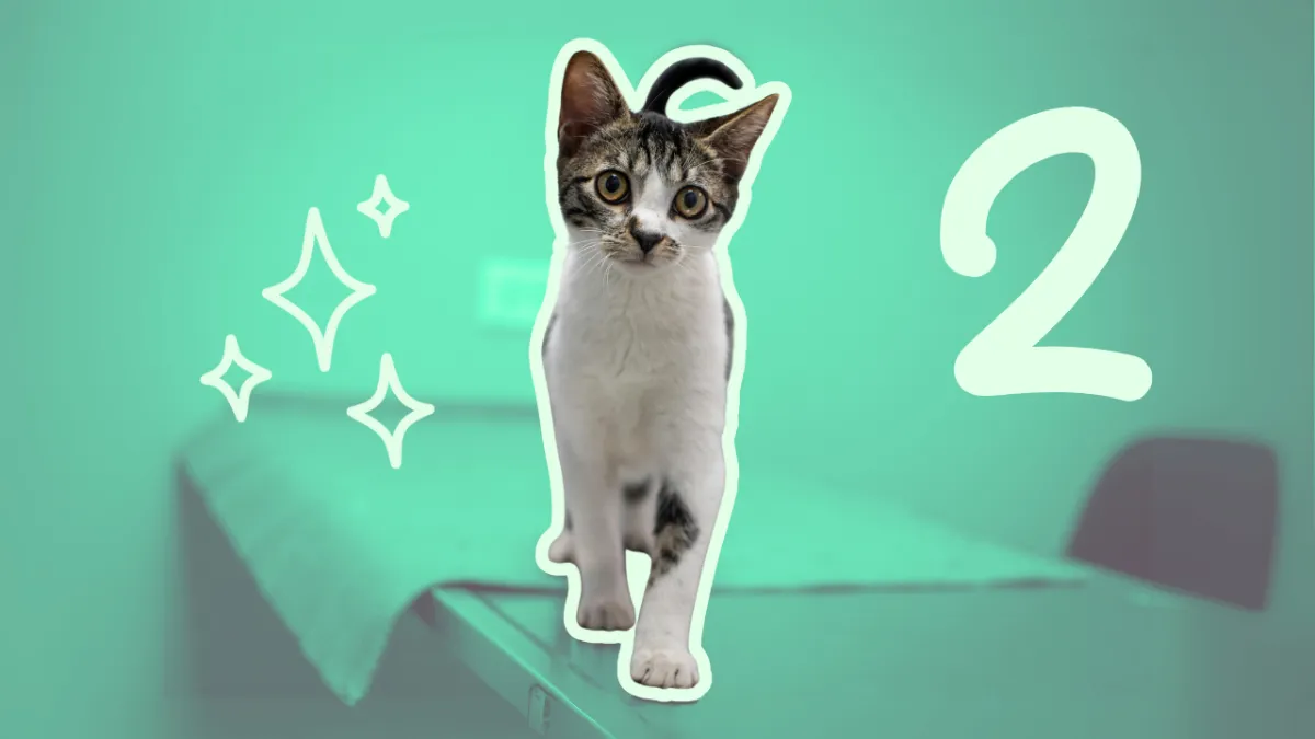 Plataforma online con materiales actualizados