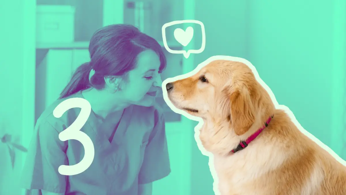 Metodolog&iacute;a que multiplica x6 el rendimiento del estudio