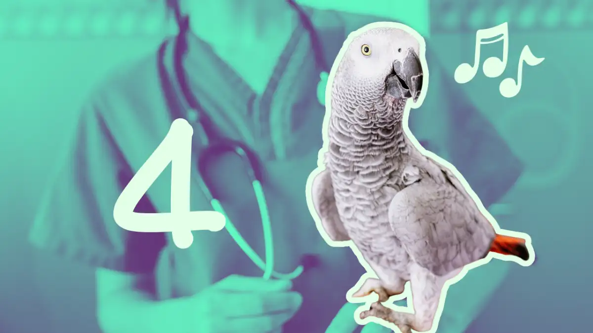 Orientaci&oacute;n personalizada y mental training