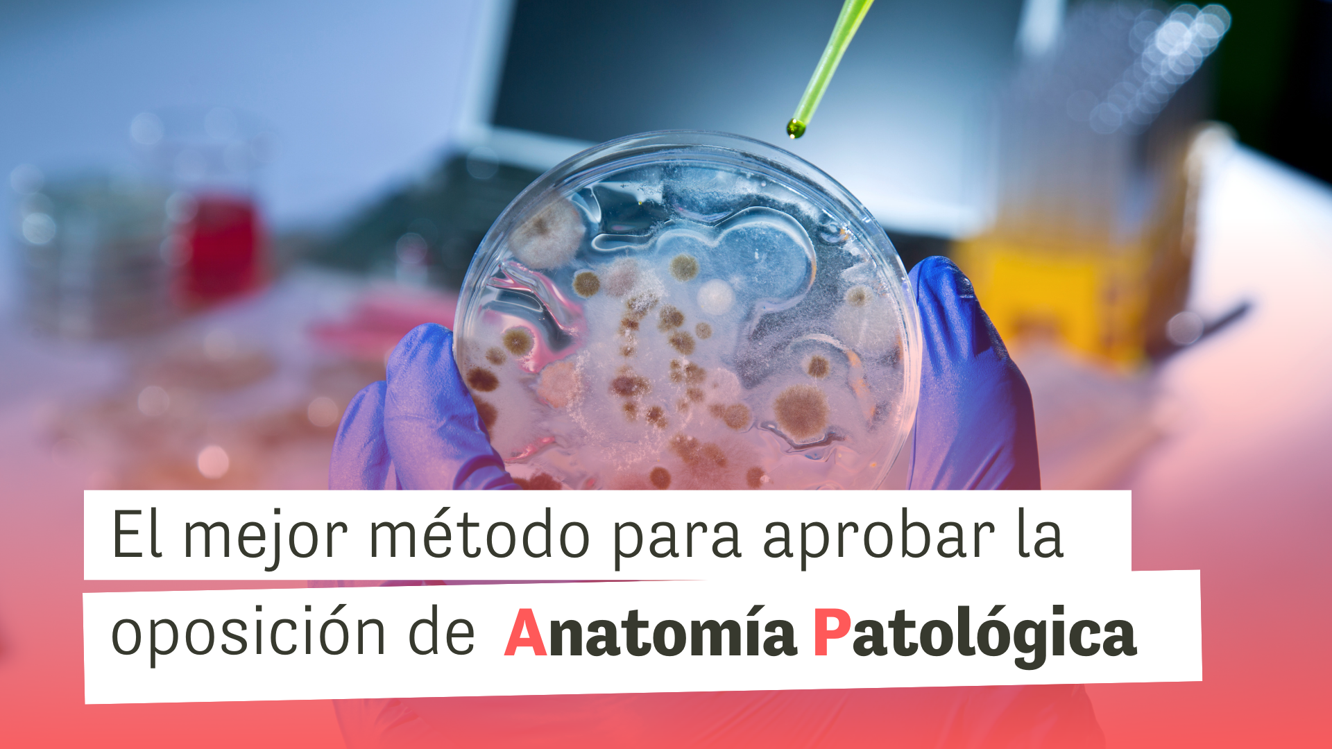 Oposiciones Técnico Anatomía Patológica