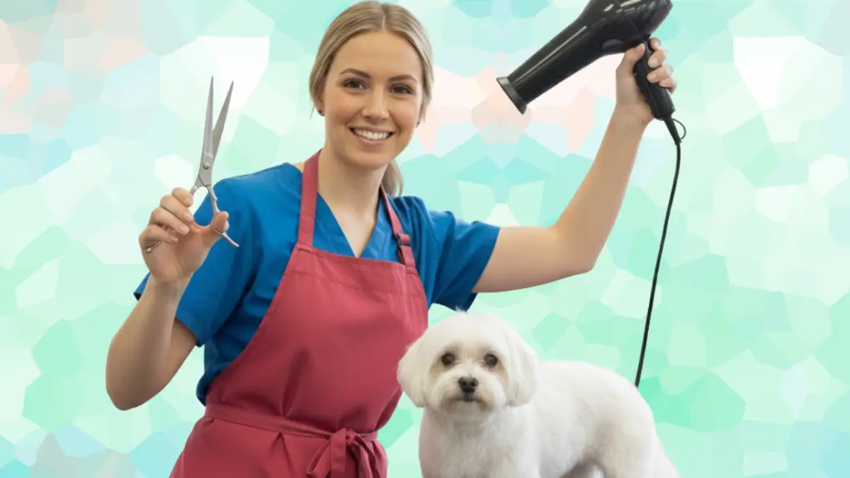 Curso Peluquería Canina y Felina