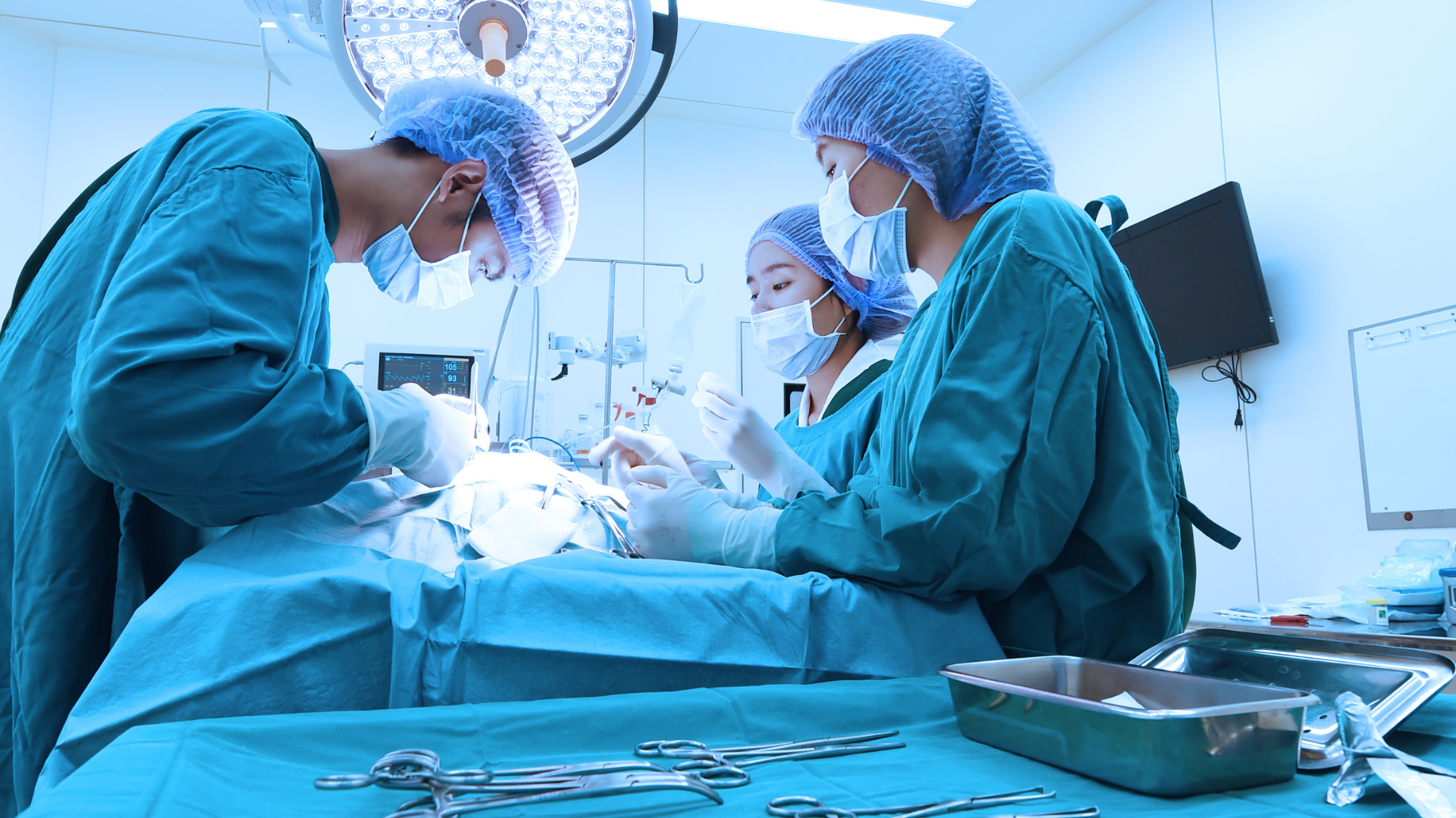 El papel del enfermero veterinario en quirófano: funciones y competencias