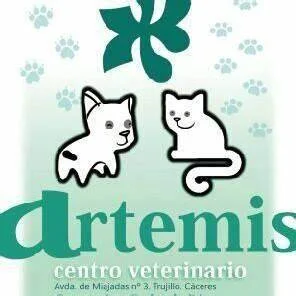 Cl&iacute;nica Artemis