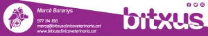 Bitxus