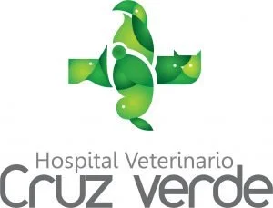 Cl&iacute;nica Cruz Verde