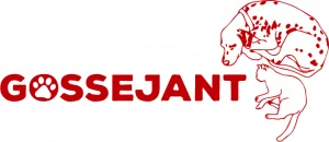 Gossejant