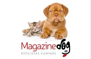 Magazine Dog