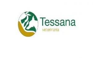 Cl&iacute;nica Tessana